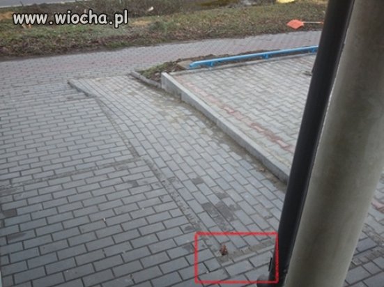 Ułatwijmy życie niepełnosprawnym