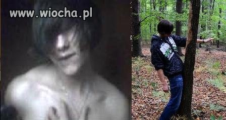 G*j leśny