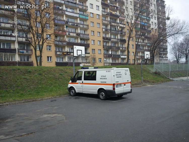 Mistrzowie kosza