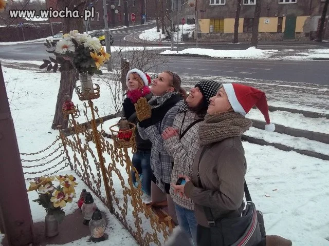 Krejzolki..