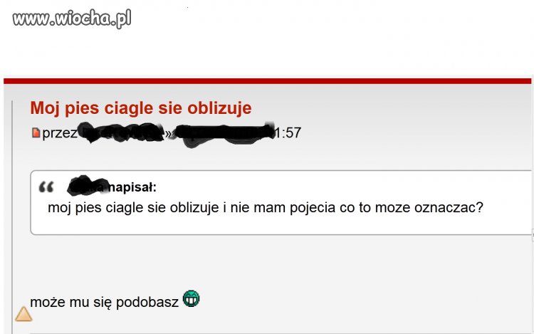 Mój pies ciągle się oblizuje...