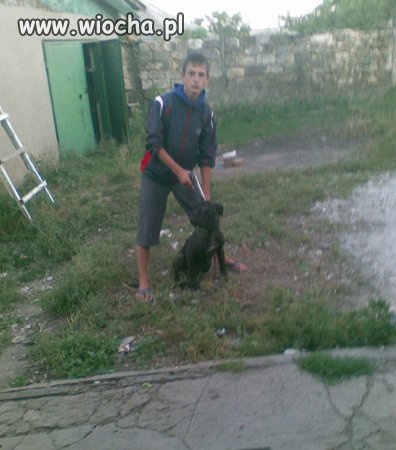 Szczyt kretynizmu...