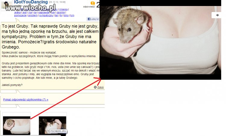"Genialna" zmyłka