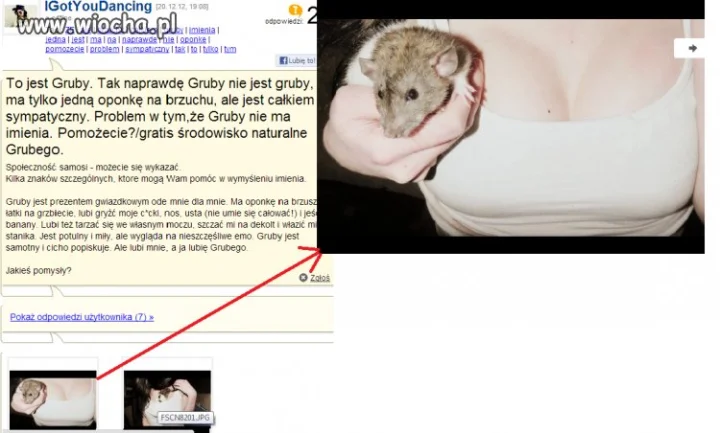 "Genialna" zmyłka