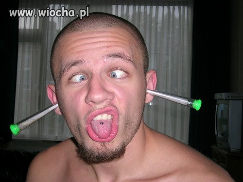 Opis pod zdjęciem: "Aljen"