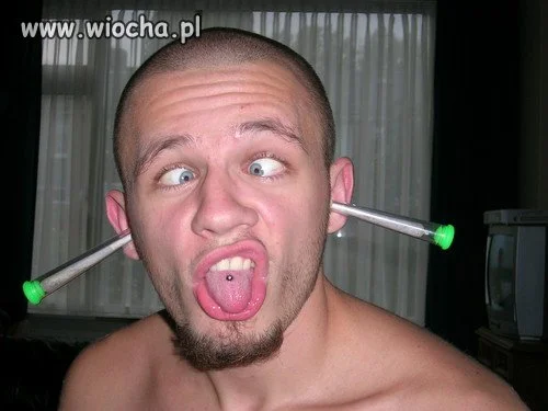 Opis pod zdjęciem: "Aljen"