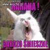 Hahahahahaha bardzo śmieszne !!!