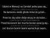 Gdzieś w Wenecji na gondoli jedna para się...
