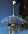 Parasol dla psa