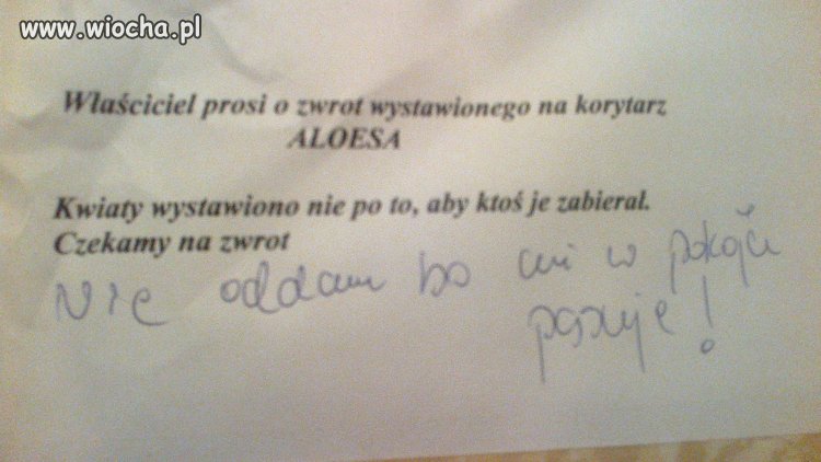 Rozmowa lokatorów 