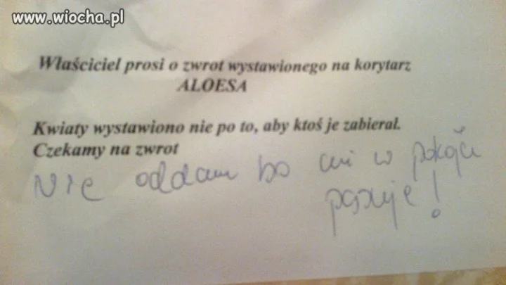 Rozmowa lokatorów 