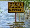 Coś na pamiątkę ze stadionu narodowego 