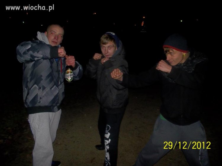 Pro Fighters 