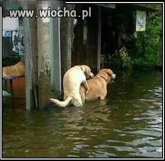 Jak się chce...