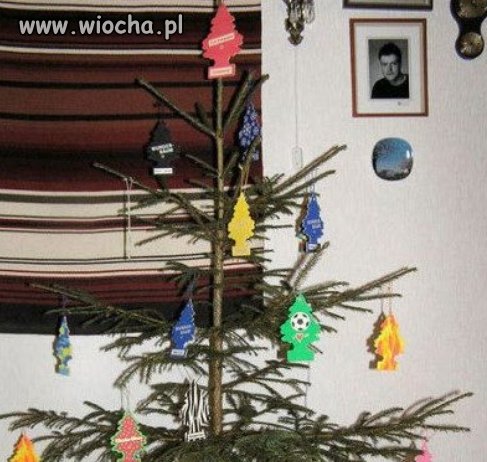 Moja odświeżona choinka...
