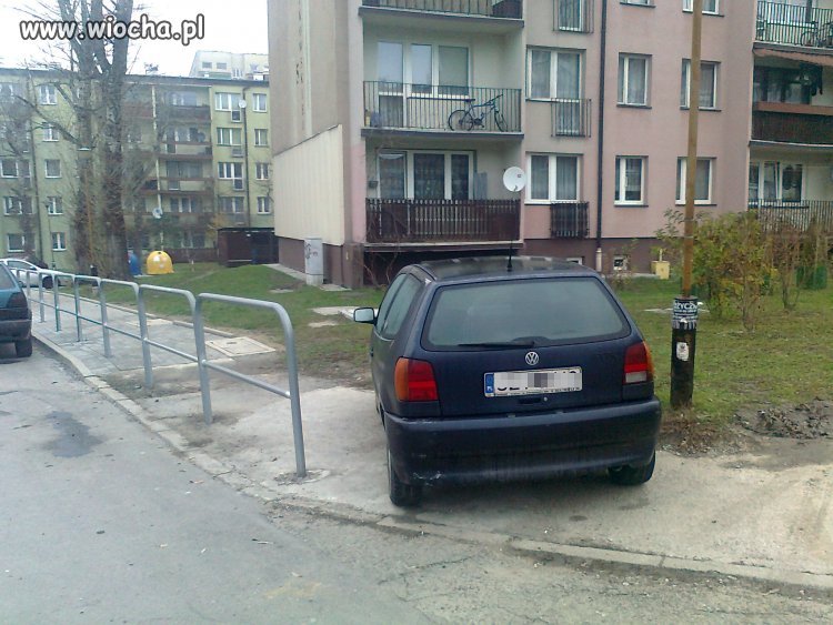 Mistrz parkowania