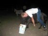 Country Party udane