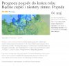Prognoza 