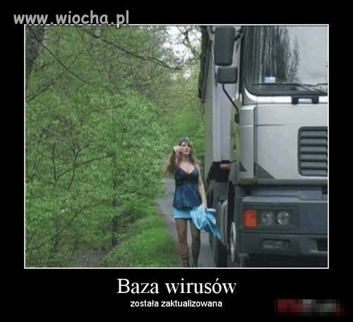 Pierwsze słowa prostytuki po wyjściu z Tira