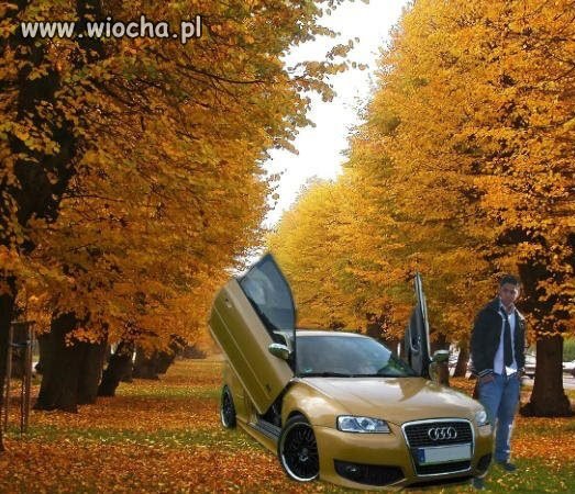Tak chyba podrywają Tureccy chłopcy 
