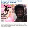 Jak musiał poczuć się ten człowiek