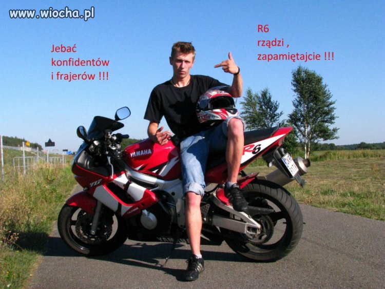 Ziomek