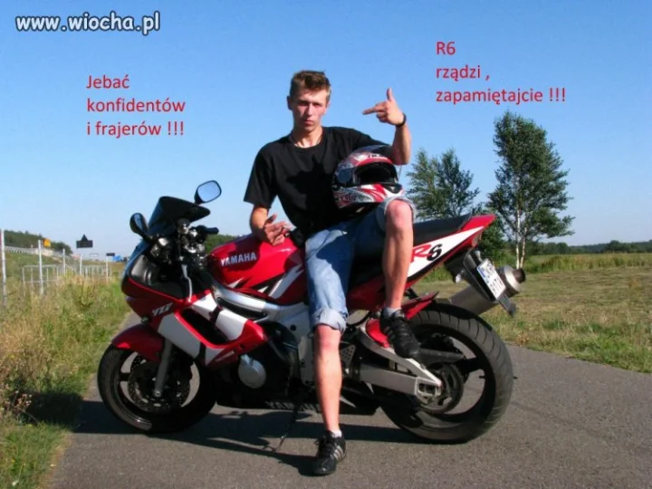 Ziomek