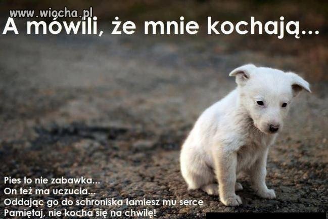 Taka jest prawda!!