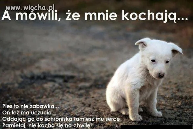 Taka jest prawda!!