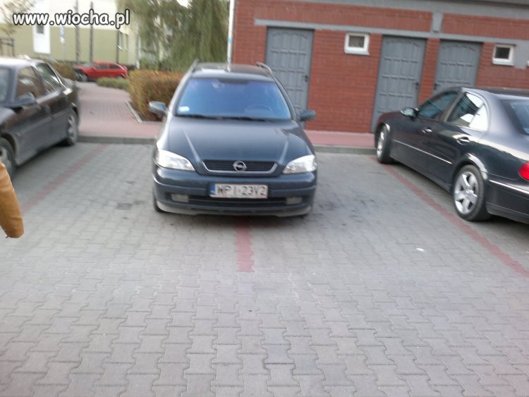 Na kursie nie uczyli prawidłowego parkowania