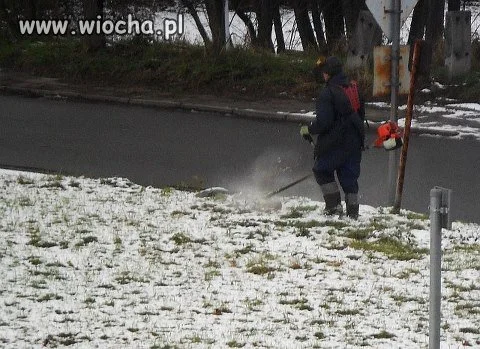 Prace porządkowe w mieście... 