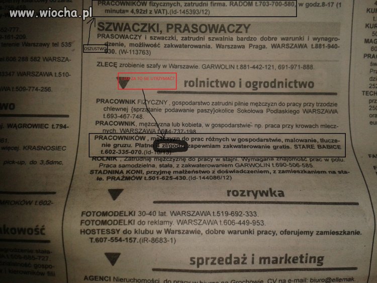 Polski rynek pracy