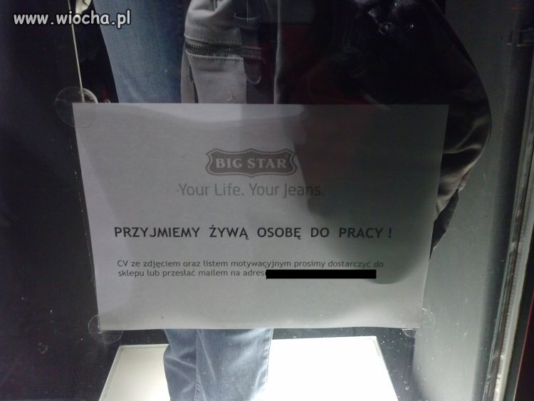 Przyjmiemy żywą osobę do pracy !