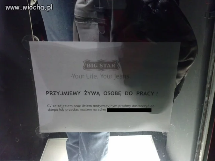 Przyjmiemy żywą osobę do pracy !