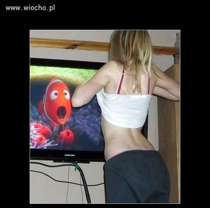 Nemo