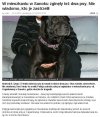 To już jest przegięcie...