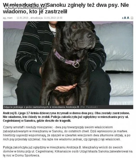 To już jest przegięcie...