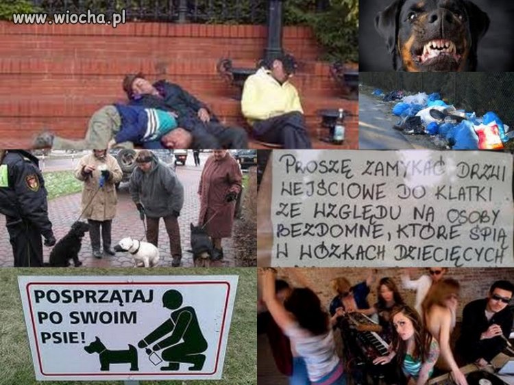 Tu szukajcie pieniędzy z mandatów