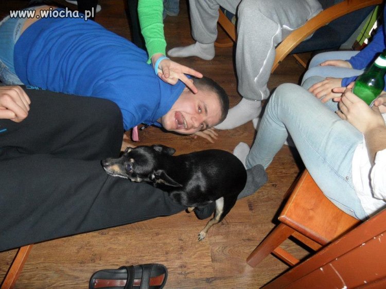 Podpis: Project X