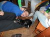 Podpis: Project X