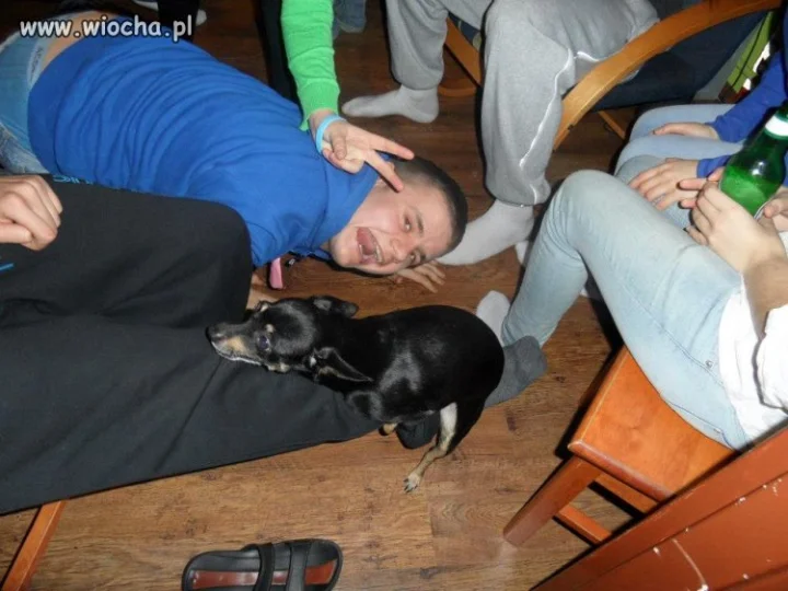 Podpis: Project X
