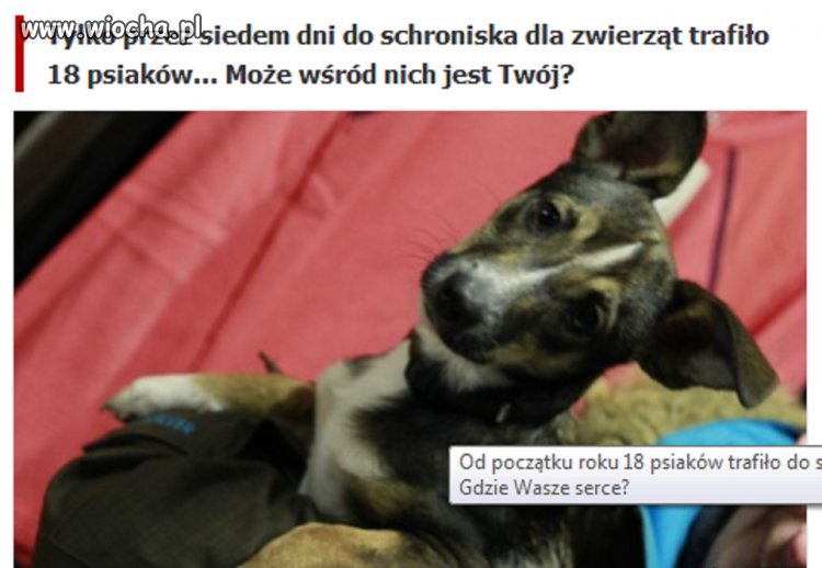 święta...święta...i po świętach.