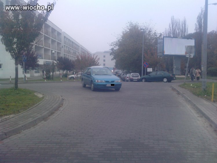 Mistrz Parkowania