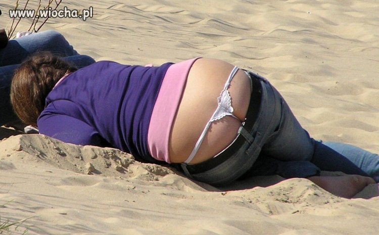 Motylek plażowy