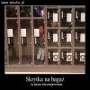Dziecko jako bagaż