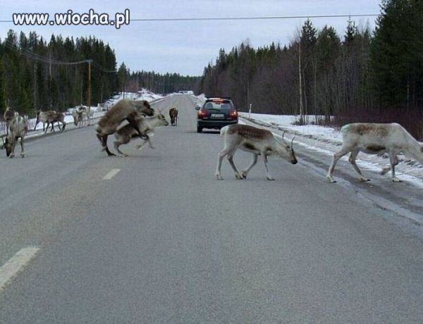 Nie poganiaj mnie bo tracę oddech.