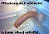 GŁODNY 