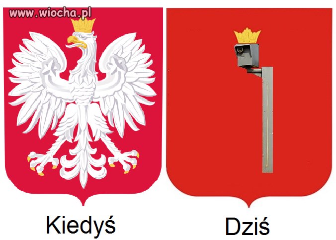 Znalezione w sieci