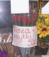 Promocja.