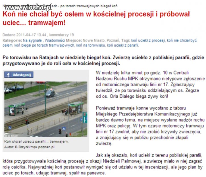 Nikt nie chce być osłem...